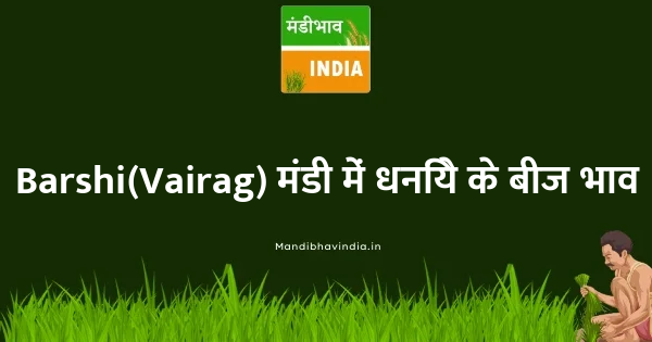 Corriander Seed भाव